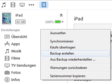 iPad Daten mit iTunes übertragen