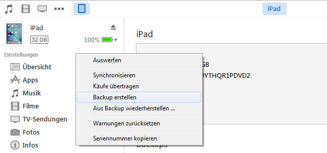 iPad-Daten via iTunes übertragen