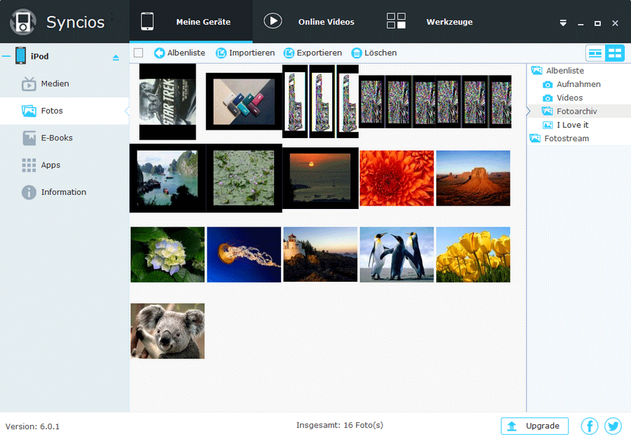 Fotos zwischen iPod und PC übertragen